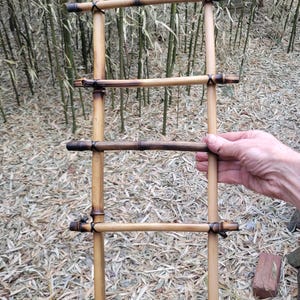 bamboo ladder, DIY natural climbing decor kit for reptiles, lizards, frogs, snakes, gecko, and small pets, tank or cage, 24" or 40" USA made image 2