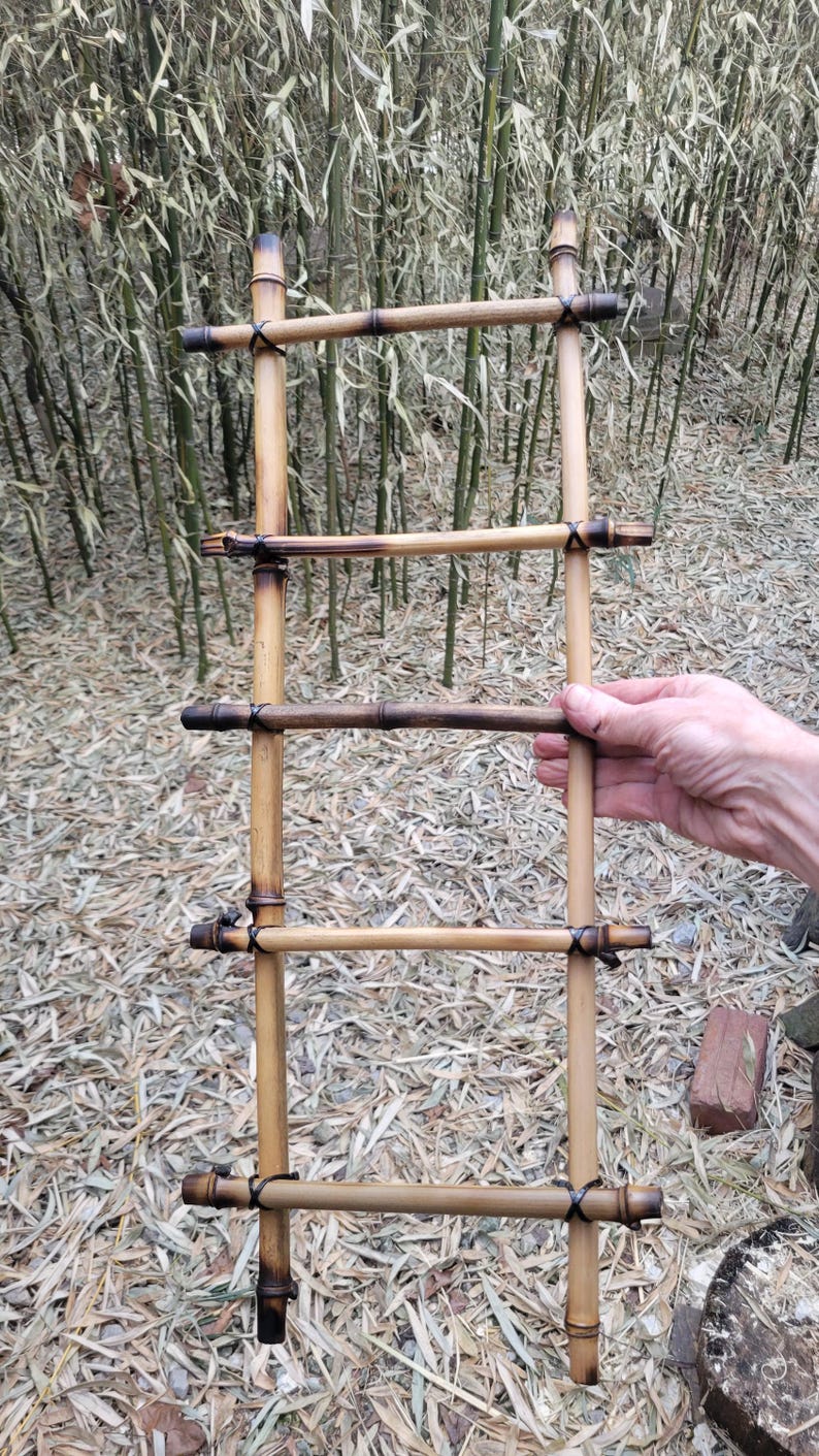 bamboo ladder, DIY natural climbing decor kit for reptiles, lizards, frogs, snakes, gecko, and small pets, tank or cage, 24" or 40" USA made image 2