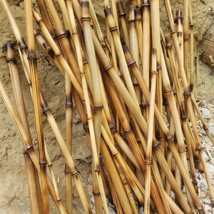 Op de afbeelding: Een stapel gedroogde bamboestokken, sommige zijn lichtbruin en sommige zijn donkerbruin, met een paar donkerdere bruine vlekken. De stokken zijn in een willekeurig patroon gerangschikt, waarbij sommige stokken elkaar overlappen. De stokken liggen op een lichtbruine ondergrond.