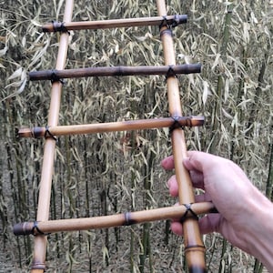 May include: A small, handcrafted bamboo ladder with dark brown accents. The ladder has several horizontal rungs and is held against a backdrop of bamboo stalks and dried leaves. The bamboo is a light tan color.