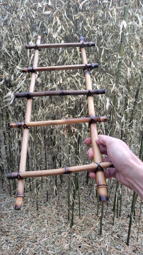 bamboo ladder, DIY natural climbing decor kit for reptiles, lizards, frogs, snakes, gecko, and small pets, tank or cage, 24" or 40" USA made