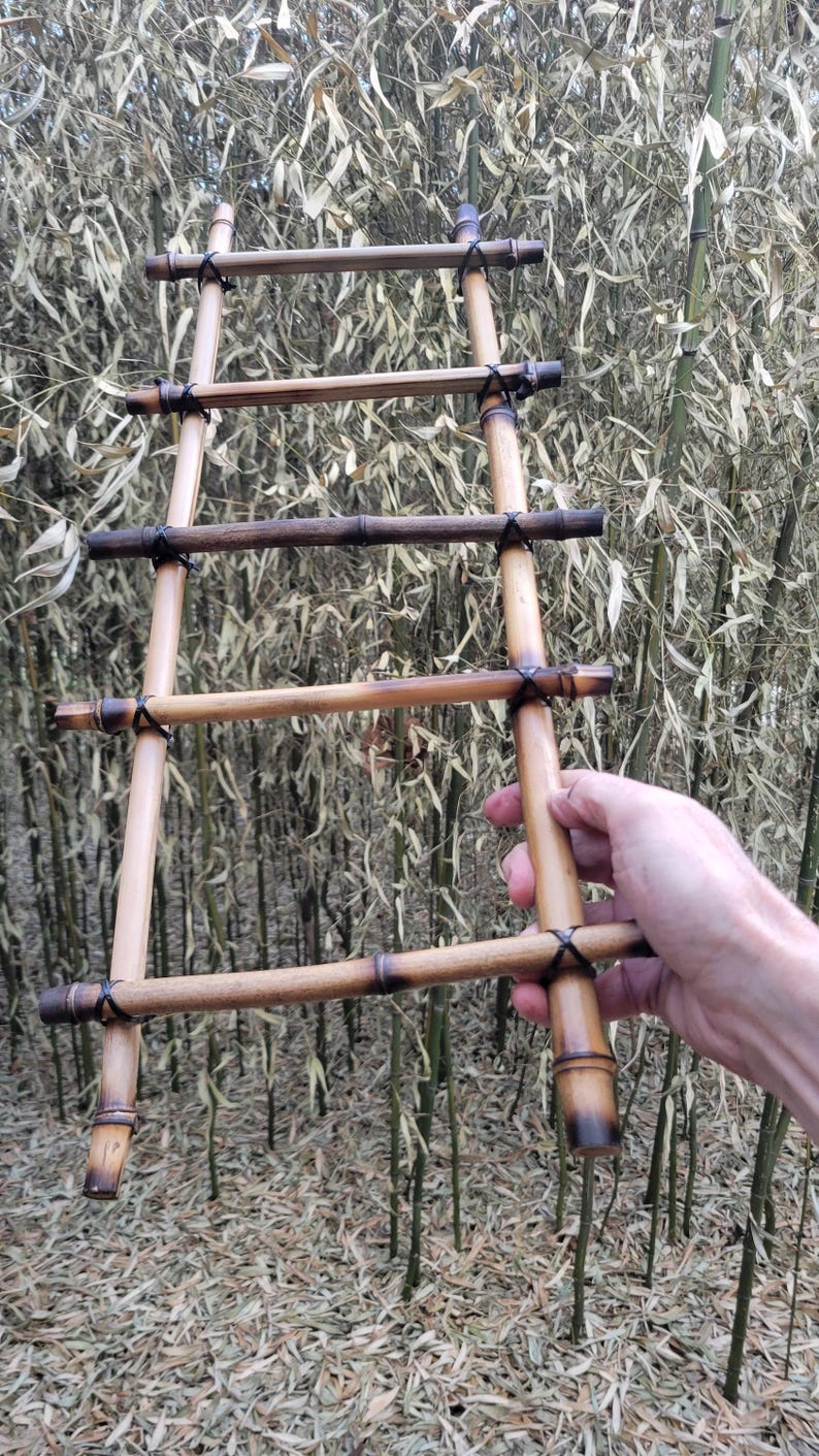 May include: A small, handcrafted bamboo ladder with dark brown accents. The ladder has several horizontal rungs and is held against a backdrop of bamboo stalks and dried leaves. The bamboo is a light tan color.