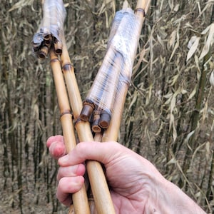 May include: Several bamboo poles, bundled together and wrapped in clear plastic. The bamboo has a natural light brown color with darker brown accents at the joints and ends. The background is a bamboo forest.