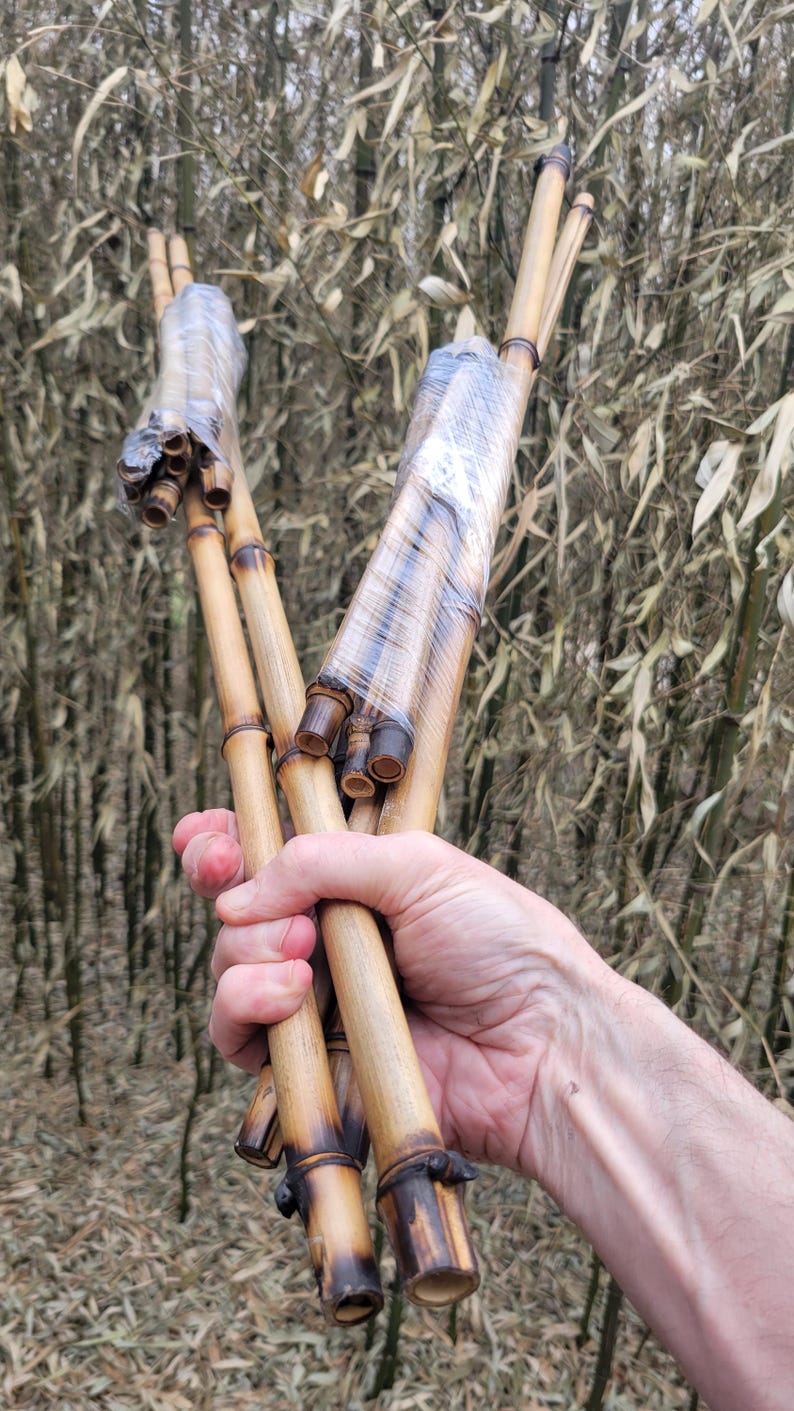 May include: Several bamboo poles, bundled together and wrapped in clear plastic. The bamboo has a natural light brown color with darker brown accents at the joints and ends. The background is a bamboo forest.
