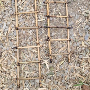May include: Two small, handmade bamboo ladders. The ladders are constructed with horizontal rungs and vertical supports, connected with dark-colored twine. The bamboo has a natural, light brown color. The ladders are resting on a bed of small rocks and dried leaves.