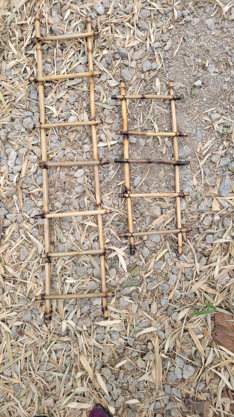 May include: Two small, handmade bamboo ladders. The ladders are constructed with horizontal rungs and vertical supports, connected with dark-colored twine. The bamboo has a natural, light brown color. The ladders are resting on a bed of small rocks and dried leaves.