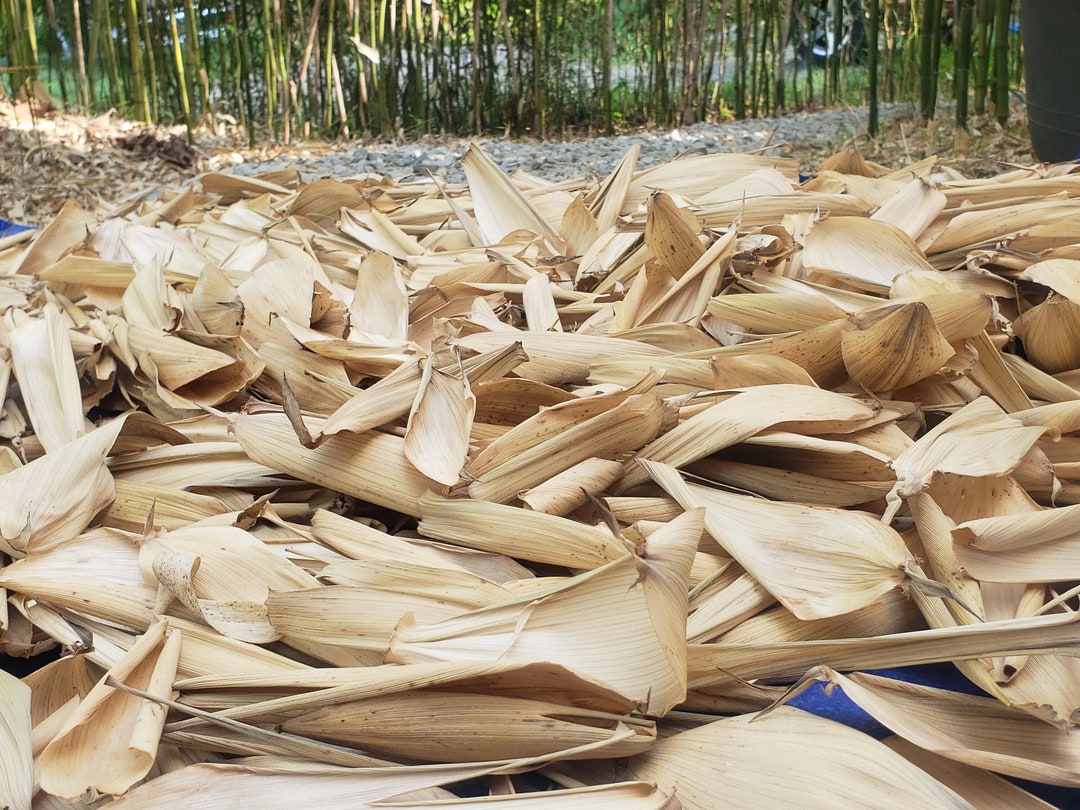 Bamboo Sheaths Natural Organic Substrate for Vivarium, Terrarium Insects and Black Water