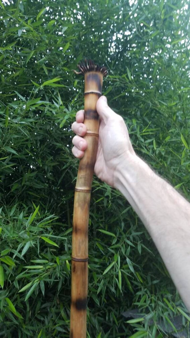 Bamboo hiking stick all natural American made incredibly Etsy