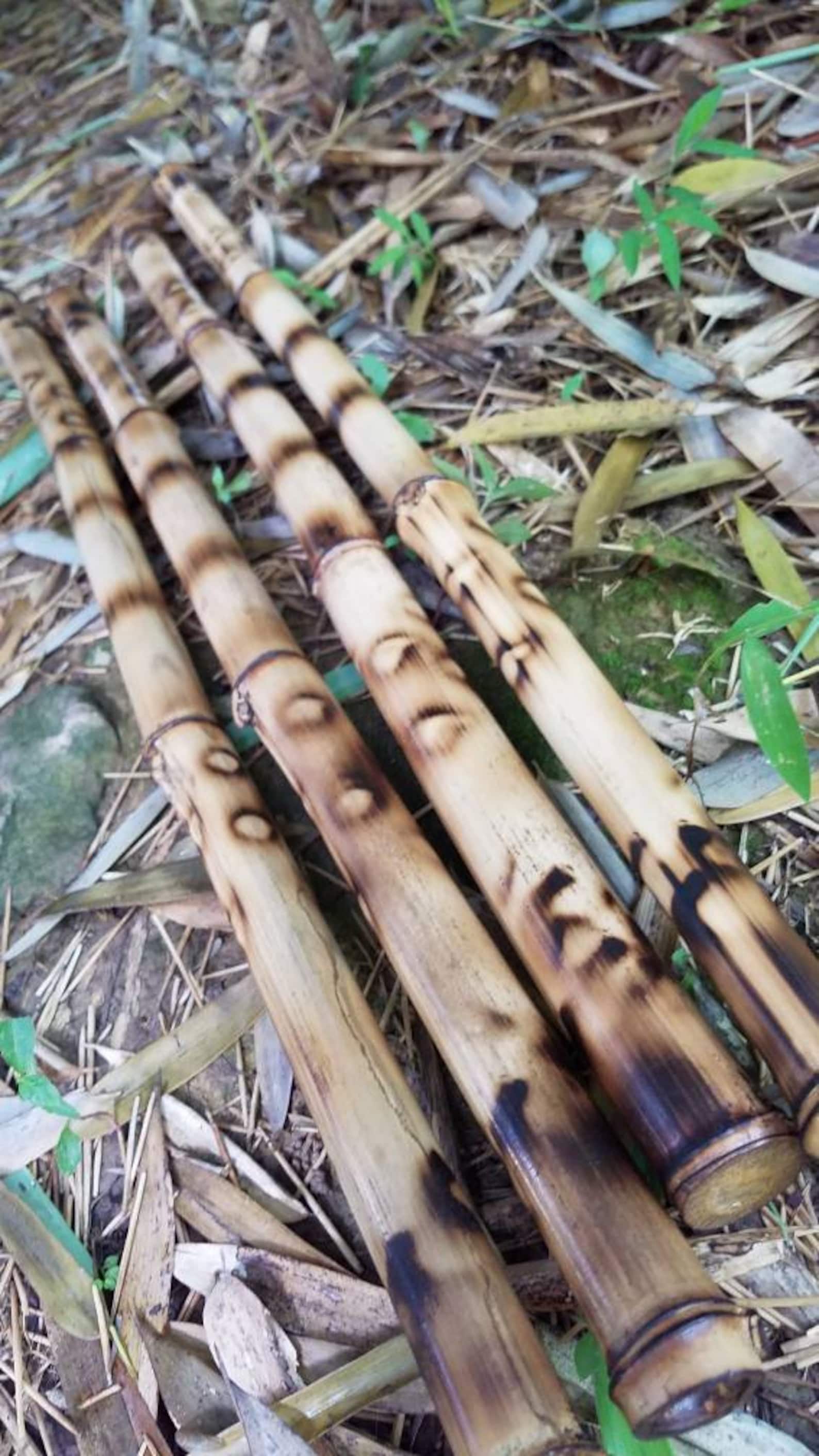 4 decorative organic bamboo sticks bespoke vase filler tribal Etsy