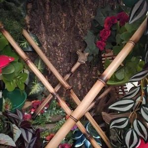 natural bamboo sticks for vivarium tank cage reptile climbing decor, snakes, lizards, geckos, frogs, chameleons, birds and insect pets, USA afbeelding 13