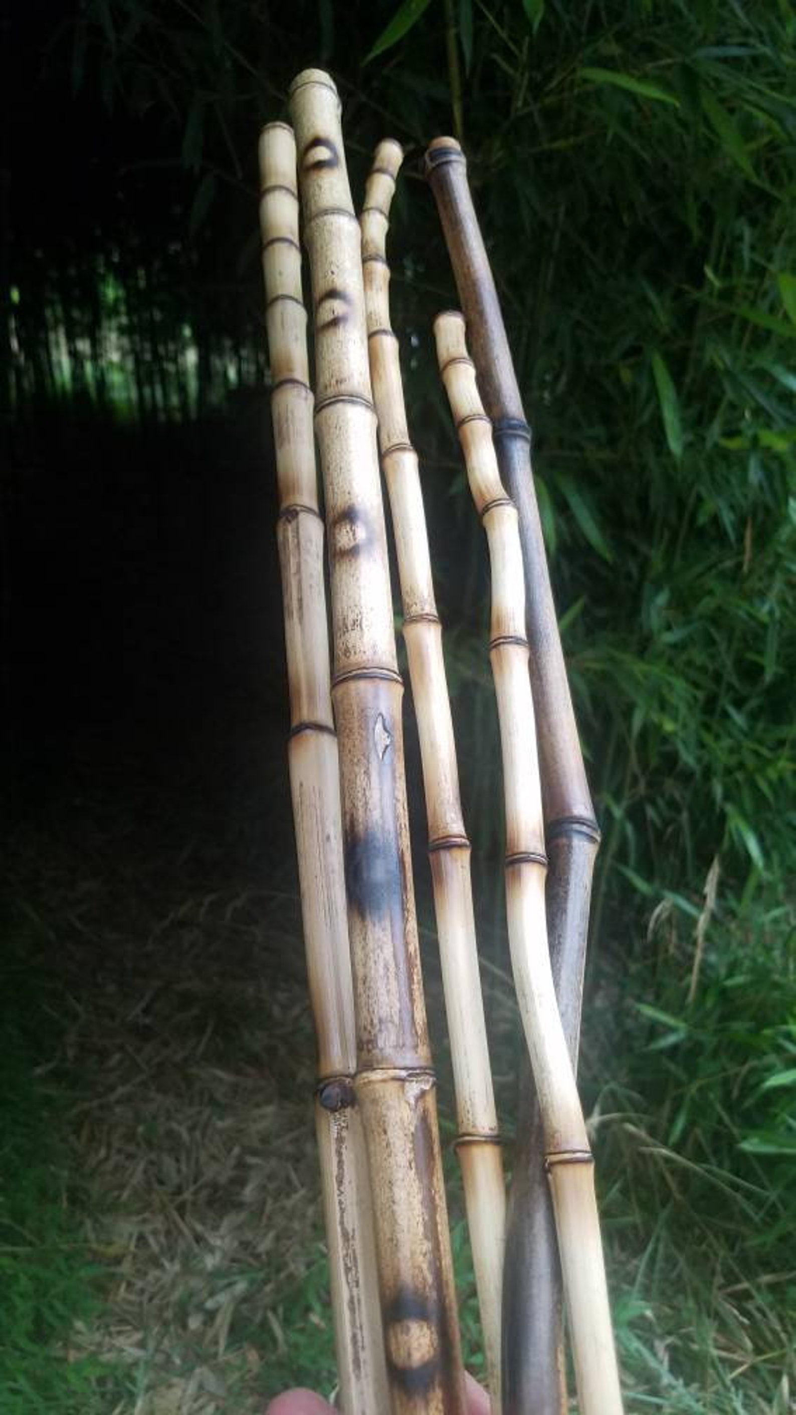 5 Decorative Organic Bamboo Sticks Currated Natural Vase Etsy UK
