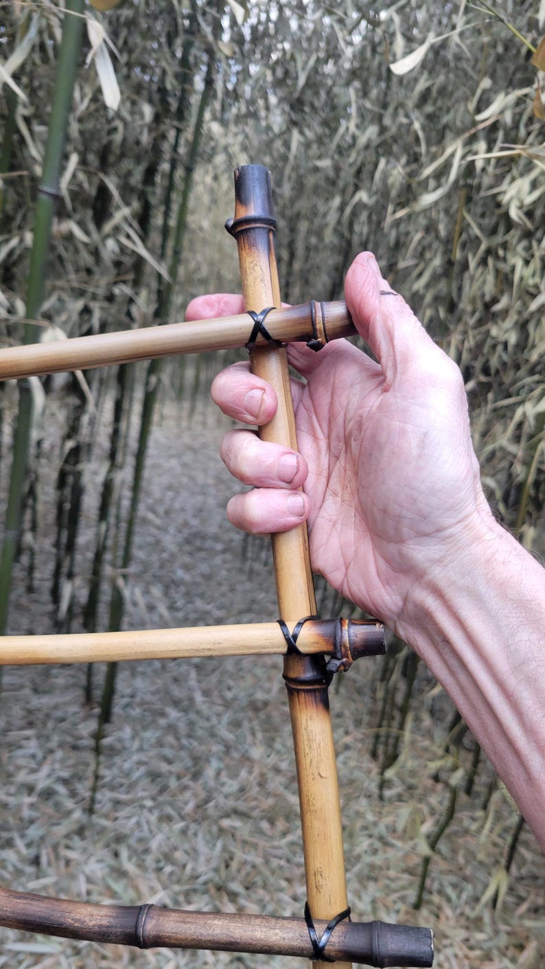 May include: A handcrafted bamboo ladder with a natural finish. The ladder's vertical supports are connected by horizontal rungs, secured with black twine. The bamboo has a gradient of colors, from light tan to dark brown. The background is a bamboo forest.