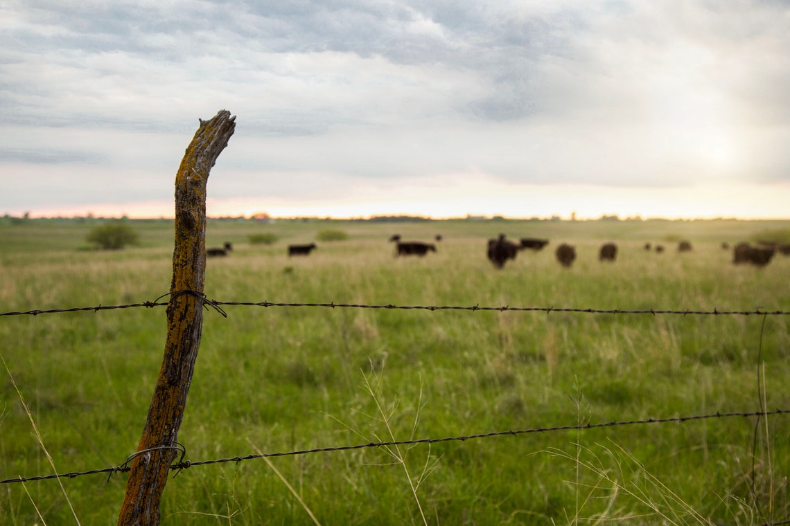 Kansas Plains in the Sun Etsy