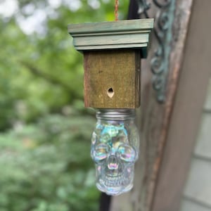 Light Blue Iridescent Skull Carpenter Bee Catcher