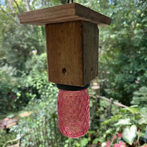 Pink Honeycomb with Green Trim Carpenter Bee Catcher