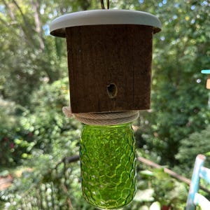 Emerald Green Honeycomb with White Roof Carpenter Bee Catcher