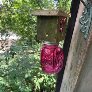 Dark Pink Flamingo with Dots Carpenter Bee Catcher