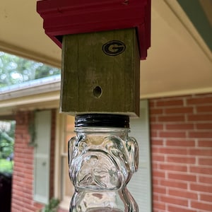 Red & Black Bulldog Georgia G Carpenter Bee Trap