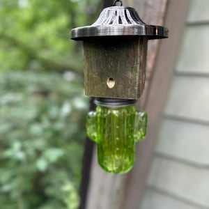 Green Cactus Carpenter Bee Catcher