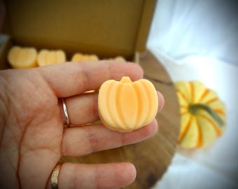 Pumpkin Spice Fall Wax Melts for Cozy Nights Season essential