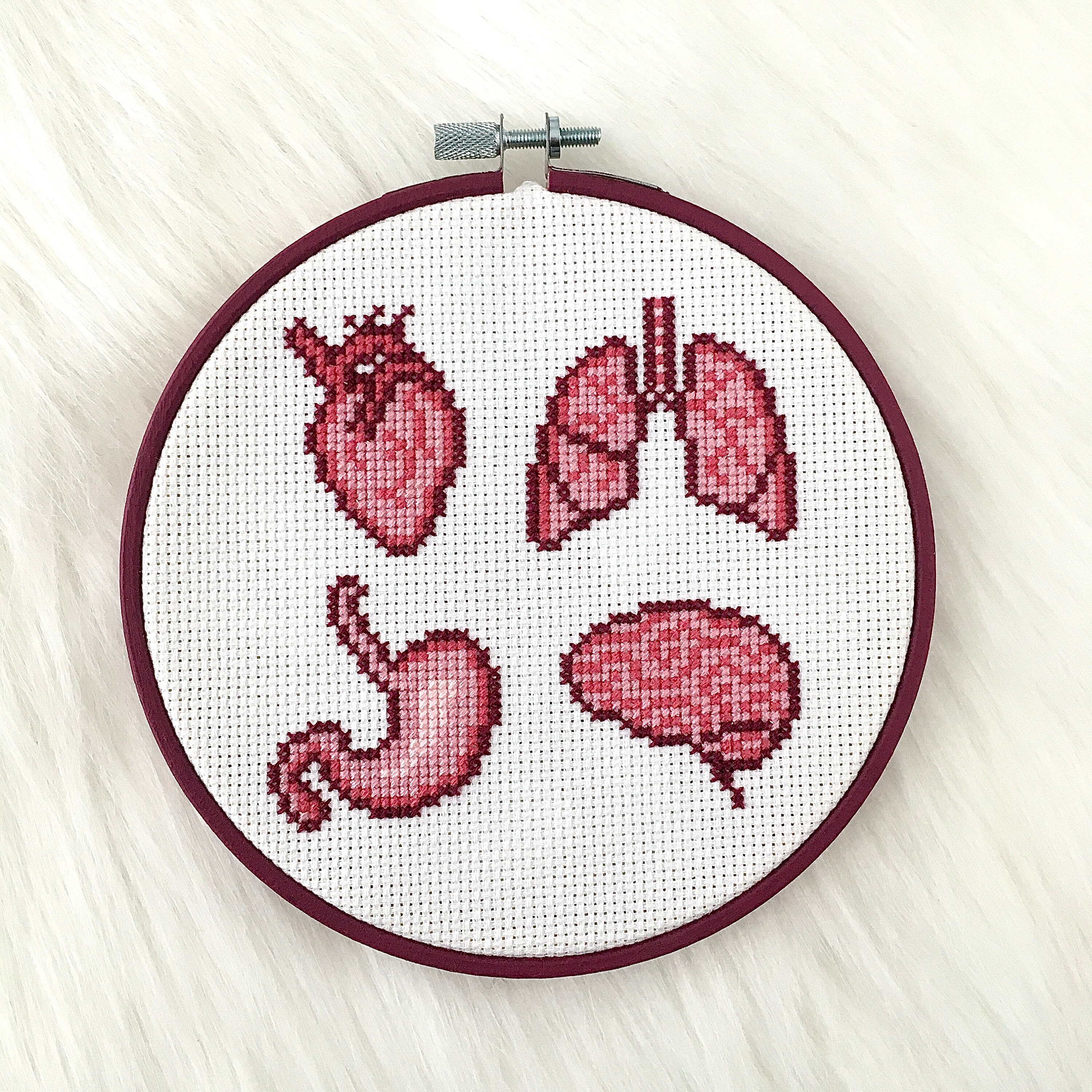 Anatomy Cross Stitch Pattern (instant PDF Download) - Etsy