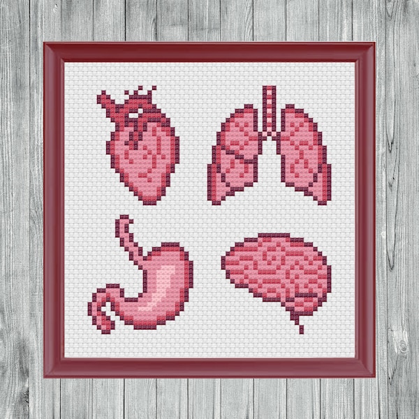 Anatomy Cross Stitch Pattern (Instant PDF Download) human body parts organs heart lungs stomach brain counted cross stitch