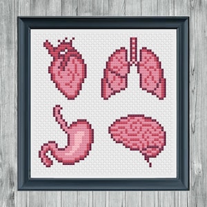 Anatomy Cross Stitch Pattern (Instant PDF Download) human body parts organs heart lungs stomach brain counted cross stitch