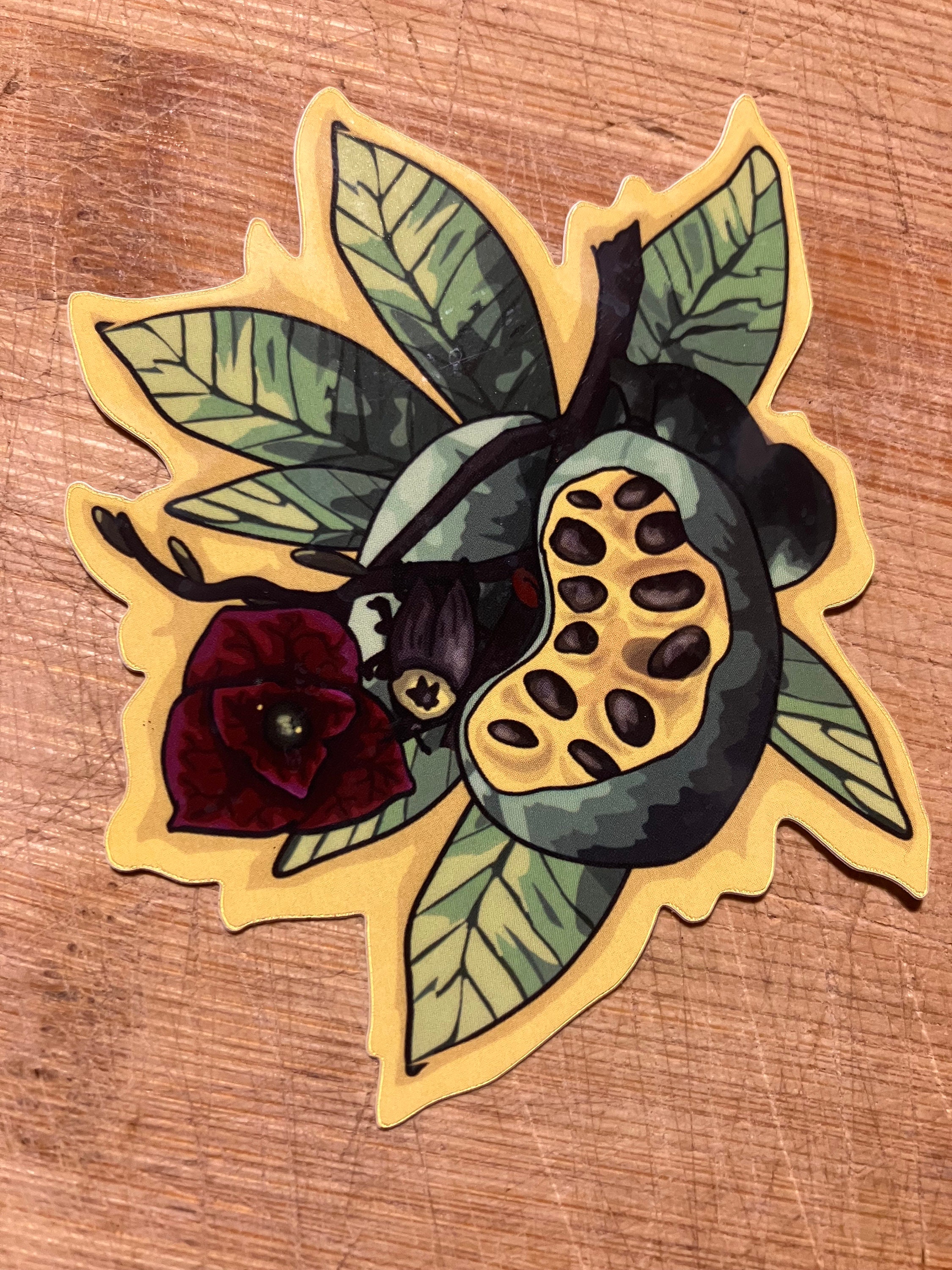 Pawpaw - sticker