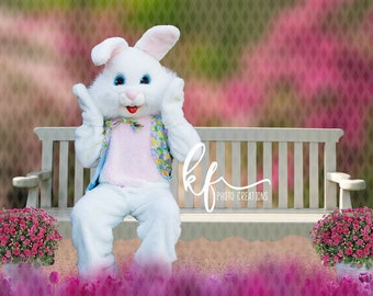 Easter Bunny Digital Backdrop, Easter Bunny Digital Background