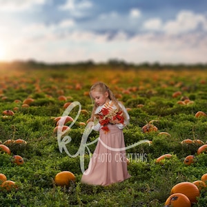 May include: A young girl in a pink dress holds a bouquet of autumn-coloured flowers in a pumpkin patch. The pumpkins are scattered throughout the field, with green grass and a cloudy sky in the background.