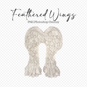 White Feathered Angel Wings PNG Photoshop Overlay