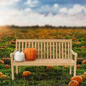 Realistic Pumpkin Patch With Bench Digital Backdrop, Realistic Pumpkin Patch With Bench Digital Background