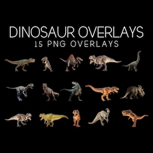 15 PNG Dinosaur Overlays