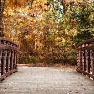 May include: A wooden bridge with brown metal railings leads through a forest with autumn foliage. The leaves are shades of yellow, orange, and red.