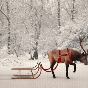 Christmas Reindeer Pulling Sled Digital Backdrop, Christmas Reindeer Pulling Sled Digital Background