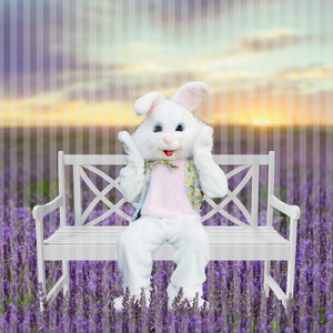 Easter Bunny Digital Backdrop 2 Pack, Easter Bunny Digital Background 2 Pack