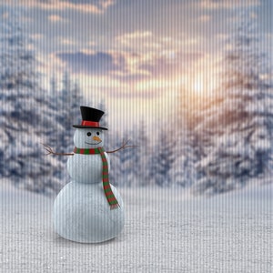 Christmas Snowman Digital Backdrop, Christmas Snowman Digital Background