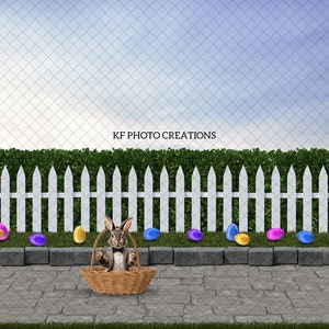 2 PACK - Easter Egg Park Digital Background