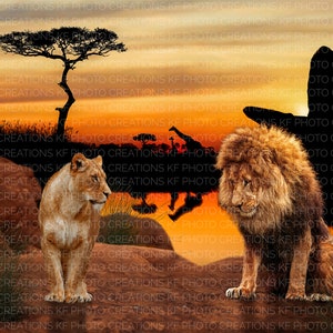 Lion Pride Rock Digitaler Hintergrund, Lion Pride Rock Digitaler Hintergrund