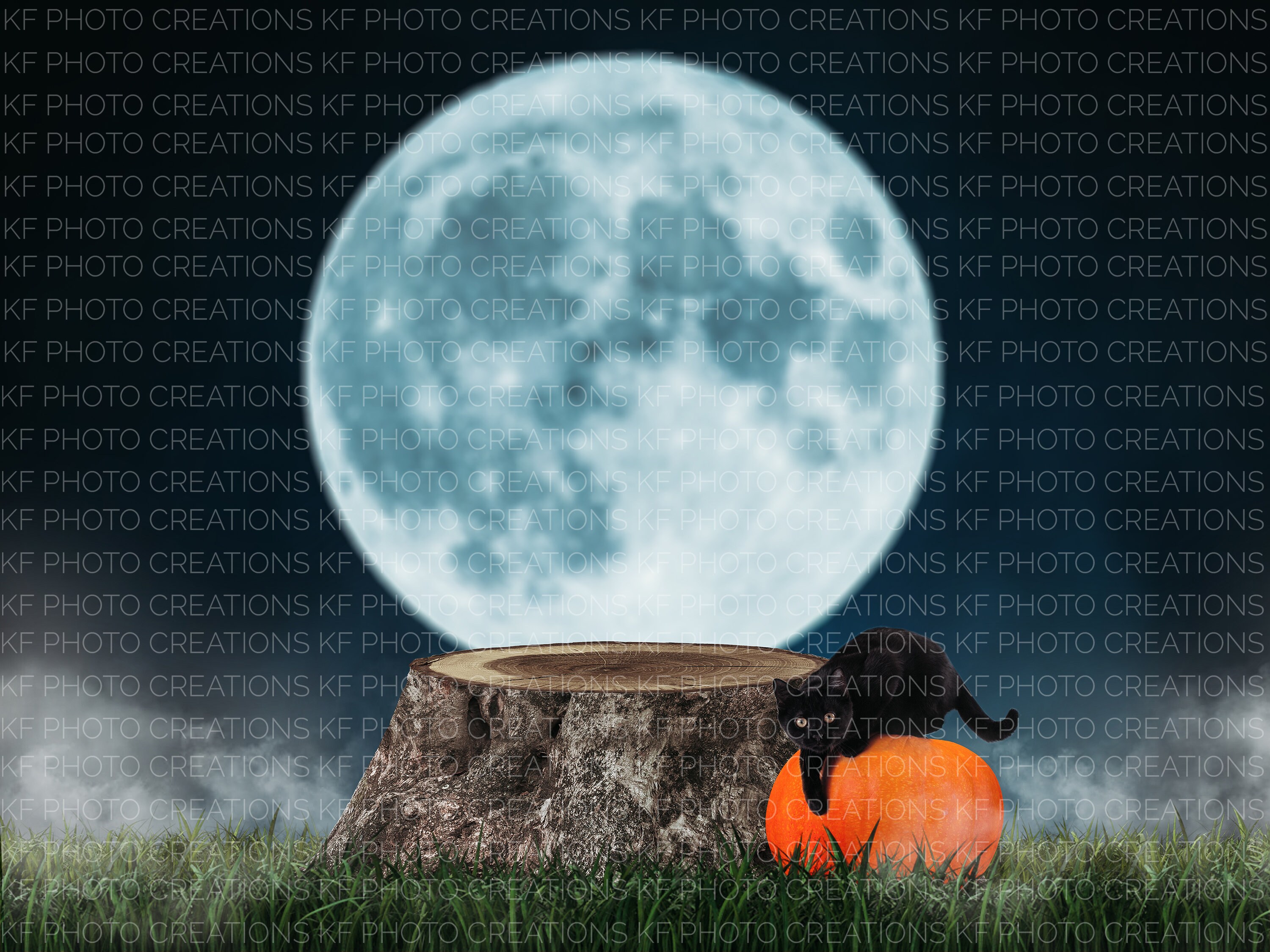 Black Cat Digital Backdrop, Black Cat Digital Background