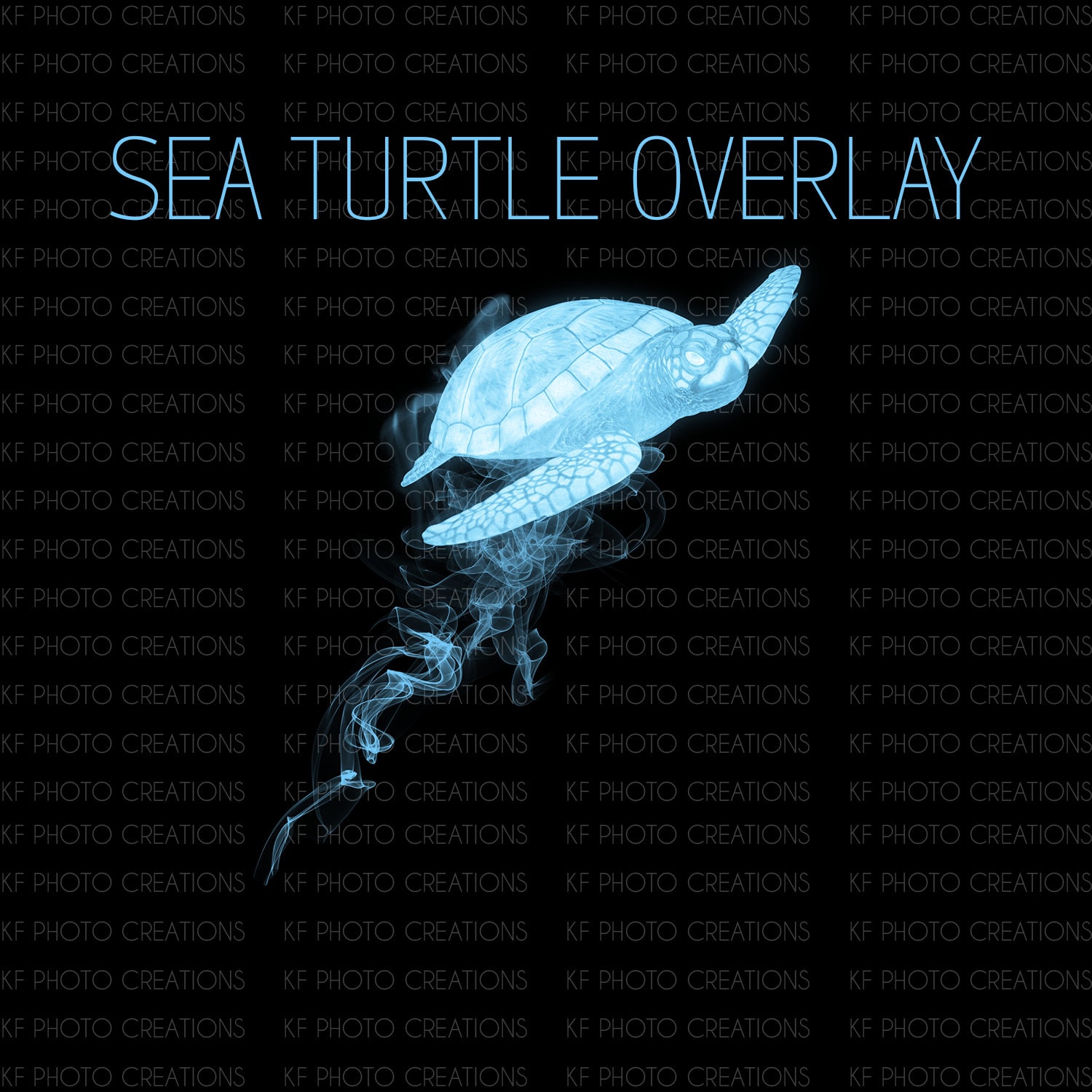 Sea Turtle Animal Magic PNG Overlay (TRANSPARENT BACKGROUND) - Etsy