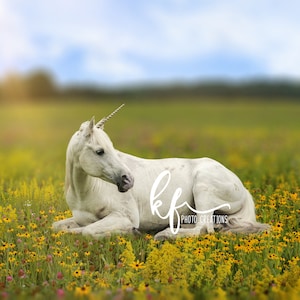 Unicorn Digital Backdrop, Unicorn Digital Background