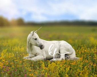 Unicorn Digital Backdrop, Unicorn Digital Background