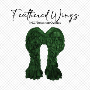 May include: Green feathered wings, a digital overlay for Photoshop.  Feathered Wings PNG Photoshop Overlay.