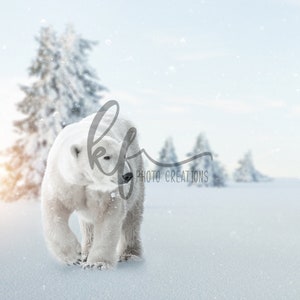 Polar Bear Christmas Digital Backdrop, Polar Bear Christmas Digital Background
