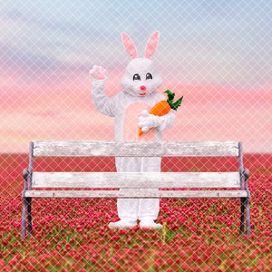 Osterhase im Blumenfeld
