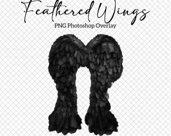 Zwart gevederde engelenvleugels, png Photoshop-overlay