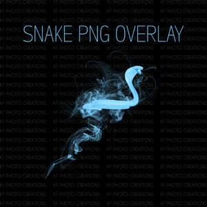 Snake Animal Magic PNG Overlay (TRANSPARENT BACKGROUND)