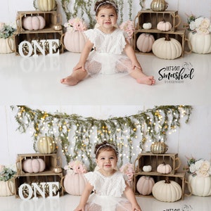 Realistic Twinkle Light Overlays for Photographers, Cake Smash Twinkle Light Overlays, Newborn Twinkle Light Overlays image 6
