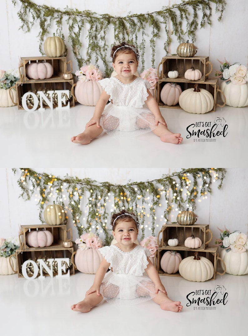 Realistic Twinkle Light Overlays for Photographers, Cake Smash Twinkle Light Overlays, Newborn Twinkle Light Overlays image 6